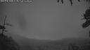 ./images/calvert/fitz-hugh-hecate/20260704/fitz-hugh-hecate20260704_045002M.jpg
