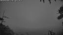 ./images/calvert/fitz-hugh-hecate/20260704/fitz-hugh-hecate20260704_045501M.jpg