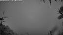 ./images/calvert/fitz-hugh-hecate/20260704/fitz-hugh-hecate20260704_050501M.jpg