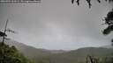 ./images/calvert/fitz-hugh-hecate/20260704/fitz-hugh-hecate20260704_061002M.jpg