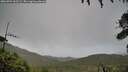 ./images/calvert/fitz-hugh-hecate/20260704/fitz-hugh-hecate20260704_065502M.jpg