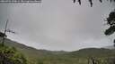./images/calvert/fitz-hugh-hecate/20260704/fitz-hugh-hecate20260704_070001M.jpg