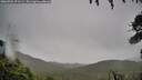 ./images/calvert/fitz-hugh-hecate/20260704/fitz-hugh-hecate20260704_071501M.jpg