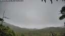 ./images/calvert/fitz-hugh-hecate/20260704/fitz-hugh-hecate20260704_073501M.jpg