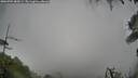 ./images/calvert/fitz-hugh-hecate/20260704/fitz-hugh-hecate20260704_084501M.jpg