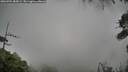 ./images/calvert/fitz-hugh-hecate/20260704/fitz-hugh-hecate20260704_085001M.jpg