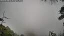 ./images/calvert/fitz-hugh-hecate/20260704/fitz-hugh-hecate20260704_090002M.jpg