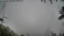 ./images/calvert/fitz-hugh-hecate/20260704/fitz-hugh-hecate20260704_094002M.jpg