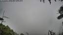 ./images/calvert/fitz-hugh-hecate/20260704/fitz-hugh-hecate20260704_095001M.jpg
