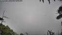 ./images/calvert/fitz-hugh-hecate/20260704/fitz-hugh-hecate20260704_100001M.jpg
