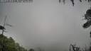 ./images/calvert/fitz-hugh-hecate/20260704/fitz-hugh-hecate20260704_103502M.jpg
