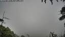 ./images/calvert/fitz-hugh-hecate/20260704/fitz-hugh-hecate20260704_110002M.jpg