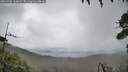 ./images/calvert/fitz-hugh-hecate/20260704/fitz-hugh-hecate20260704_113002M.jpg