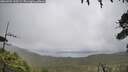 ./images/calvert/fitz-hugh-hecate/20260704/fitz-hugh-hecate20260704_113501M.jpg