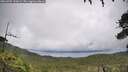 ./images/calvert/fitz-hugh-hecate/20260704/fitz-hugh-hecate20260704_120002M.jpg