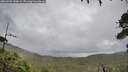 ./images/calvert/fitz-hugh-hecate/20260704/fitz-hugh-hecate20260704_144002M.jpg