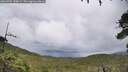 ./images/calvert/fitz-hugh-hecate/20260704/fitz-hugh-hecate20260704_145001M.jpg