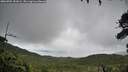 ./images/calvert/fitz-hugh-hecate/20260704/fitz-hugh-hecate20260704_151001M.jpg