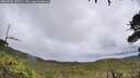 ./images/calvert/fitz-hugh-hecate/20260704/fitz-hugh-hecate20260704_152502M.jpg