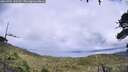 ./images/calvert/fitz-hugh-hecate/20260704/fitz-hugh-hecate20260704_153002M.jpg