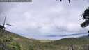 ./images/calvert/fitz-hugh-hecate/20260704/fitz-hugh-hecate20260704_153502M.jpg