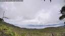 ./images/calvert/fitz-hugh-hecate/20260704/fitz-hugh-hecate20260704_154501M.jpg