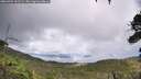 ./images/calvert/fitz-hugh-hecate/20260704/fitz-hugh-hecate20260704_161501M.jpg