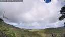 ./images/calvert/fitz-hugh-hecate/20260704/fitz-hugh-hecate20260704_162001M.jpg