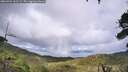 ./images/calvert/fitz-hugh-hecate/20260704/fitz-hugh-hecate20260704_162502M.jpg