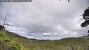 ./images/calvert/fitz-hugh-hecate/20260704/fitz-hugh-hecate20260704_164002M.jpg