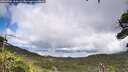 ./images/calvert/fitz-hugh-hecate/20260704/fitz-hugh-hecate20260704_164502M.jpg