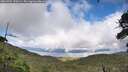 ./images/calvert/fitz-hugh-hecate/20260704/fitz-hugh-hecate20260704_170502M.jpg
