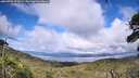 ./images/calvert/fitz-hugh-hecate/20260704/fitz-hugh-hecate20260704_172001M.jpg