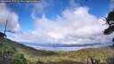 ./images/calvert/fitz-hugh-hecate/20260704/fitz-hugh-hecate20260704_172502M.jpg