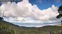 ./images/calvert/fitz-hugh-hecate/20260704/fitz-hugh-hecate20260704_182724M.jpg
