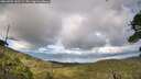 ./images/calvert/fitz-hugh-hecate/20260704/fitz-hugh-hecate20260704_185501M.jpg