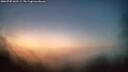./images/calvert/fitz-hugh-hecate/20260705/fitz-hugh-hecate20260705_043501M.jpg