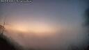 ./images/calvert/fitz-hugh-hecate/20260705/fitz-hugh-hecate20260705_044001M.jpg