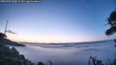 ./images/calvert/fitz-hugh-hecate/20260705/fitz-hugh-hecate20260705_050002M.jpg