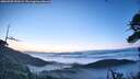 ./images/calvert/fitz-hugh-hecate/20260705/fitz-hugh-hecate20260705_051002M.jpg