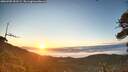 ./images/calvert/fitz-hugh-hecate/20260705/fitz-hugh-hecate20260705_053501M.jpg