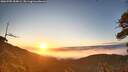 ./images/calvert/fitz-hugh-hecate/20260705/fitz-hugh-hecate20260705_054002M.jpg