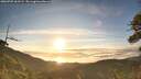 ./images/calvert/fitz-hugh-hecate/20260705/fitz-hugh-hecate20260705_062502M.jpg