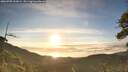 ./images/calvert/fitz-hugh-hecate/20260705/fitz-hugh-hecate20260705_063001M.jpg