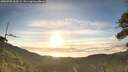 ./images/calvert/fitz-hugh-hecate/20260705/fitz-hugh-hecate20260705_063501M.jpg
