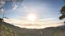 ./images/calvert/fitz-hugh-hecate/20260705/fitz-hugh-hecate20260705_070001M.jpg