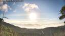 ./images/calvert/fitz-hugh-hecate/20260705/fitz-hugh-hecate20260705_071001M.jpg