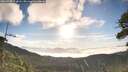 ./images/calvert/fitz-hugh-hecate/20260705/fitz-hugh-hecate20260705_072001M.jpg