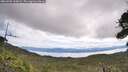 ./images/calvert/fitz-hugh-hecate/20260705/fitz-hugh-hecate20260705_110002M.jpg