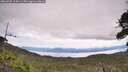 ./images/calvert/fitz-hugh-hecate/20260705/fitz-hugh-hecate20260705_114501M.jpg